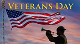 Veterans Day graphic